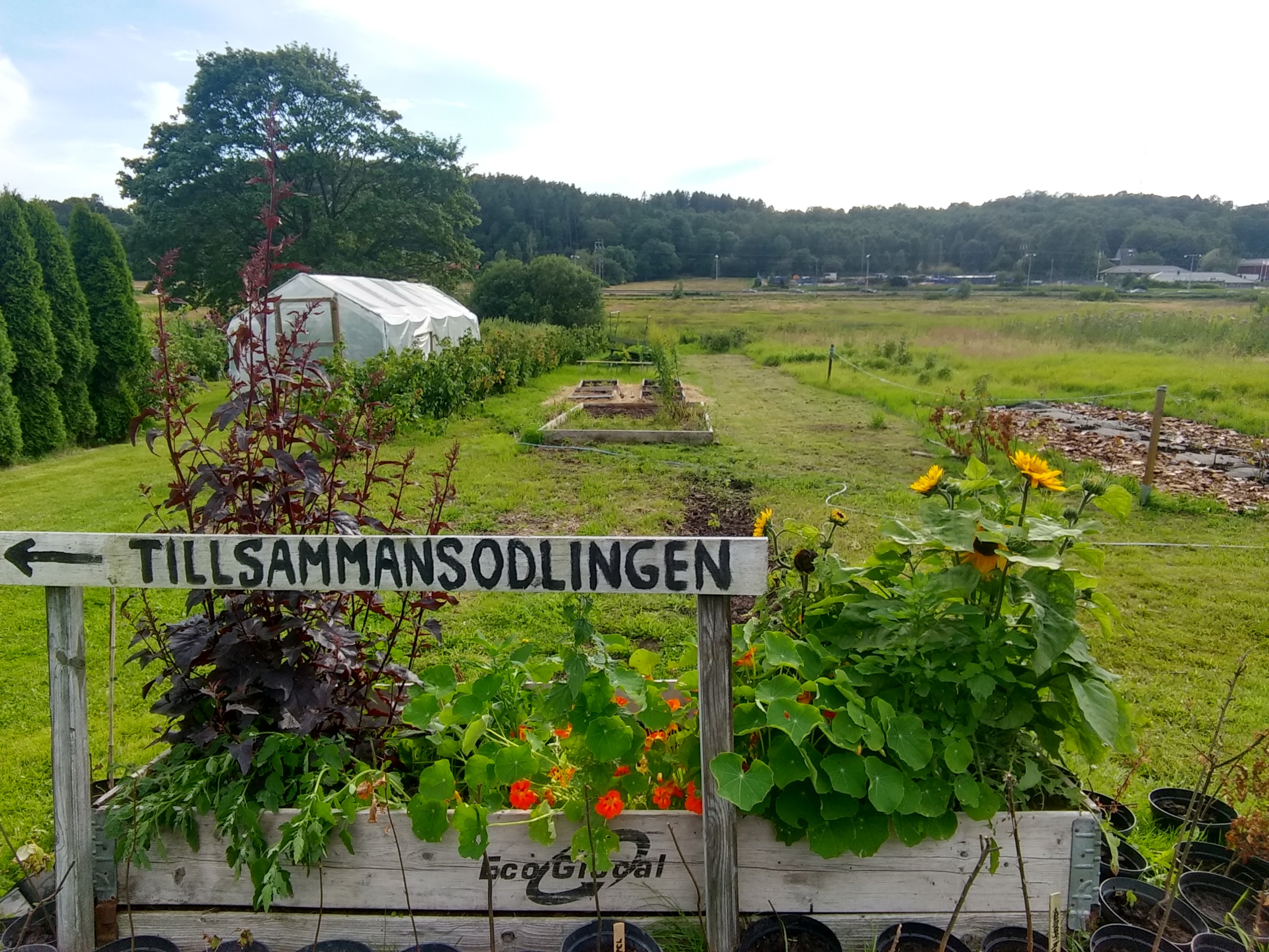 img_20200725_175208510_hdr